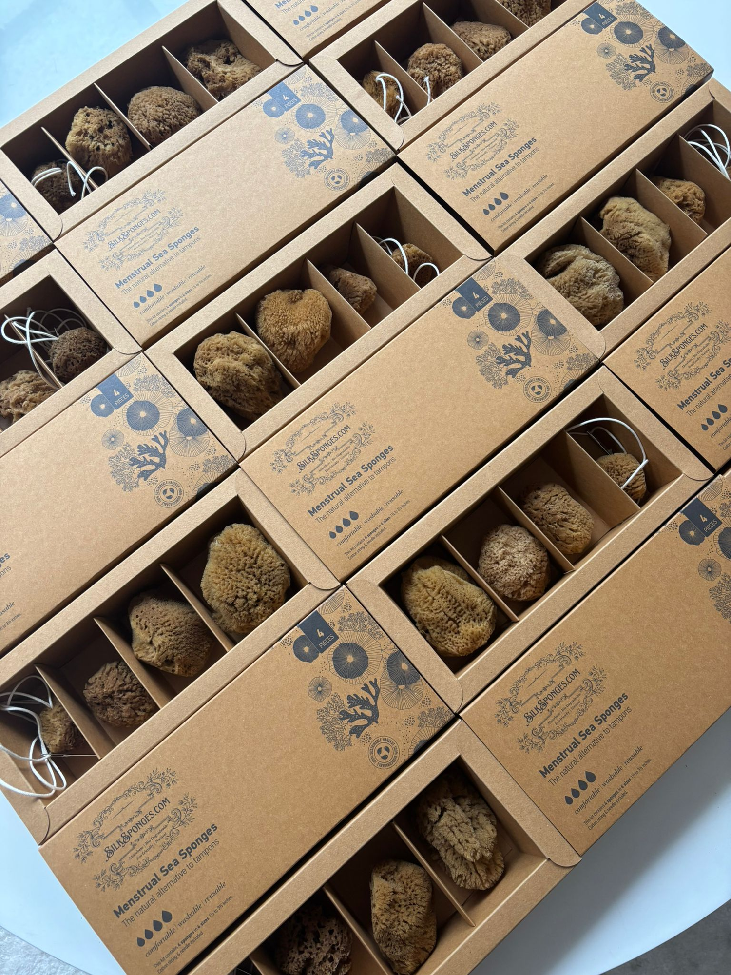 Mediterranean Silk Sea Sponge