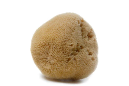 MEDITERRANEAN SEA SPONGE TAMPON - 3PACK