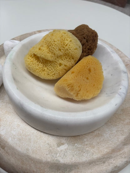 MEDITERRANEAN SEA SPONGE - 1 Regular Size PACK - Lasts 6mths