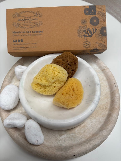 Silk Sea Sponge 4 Pack - 6mth Tampon box