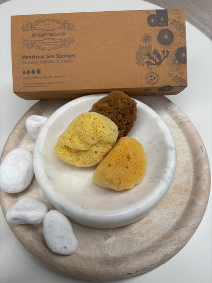 Silk Sea Sponge 4 Pack - 6mth Tampon box