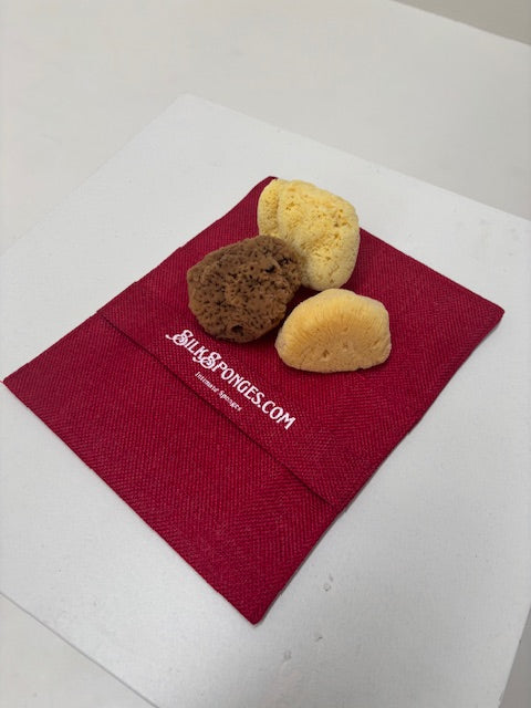 MEDITERRANEAN SEA SPONGE - 1 Regular Size PACK - Lasts 6mths