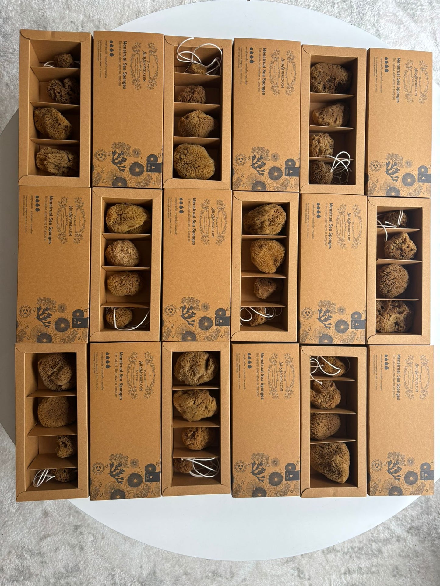 Silk Sea Sponge 4 Pack - 6mth Tampon box