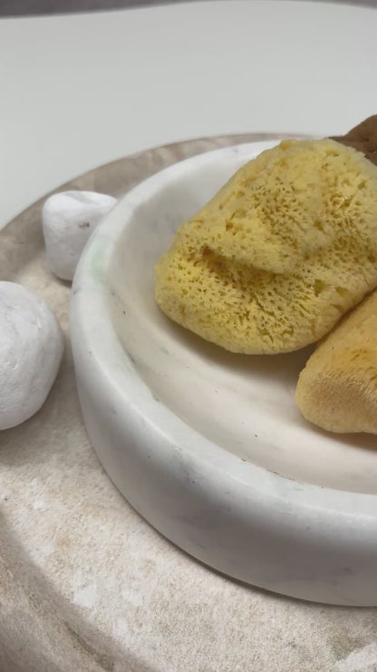 MEDITERRANEAN SEA SPONGE - 1 Regular Size PACK - Lasts 6mths