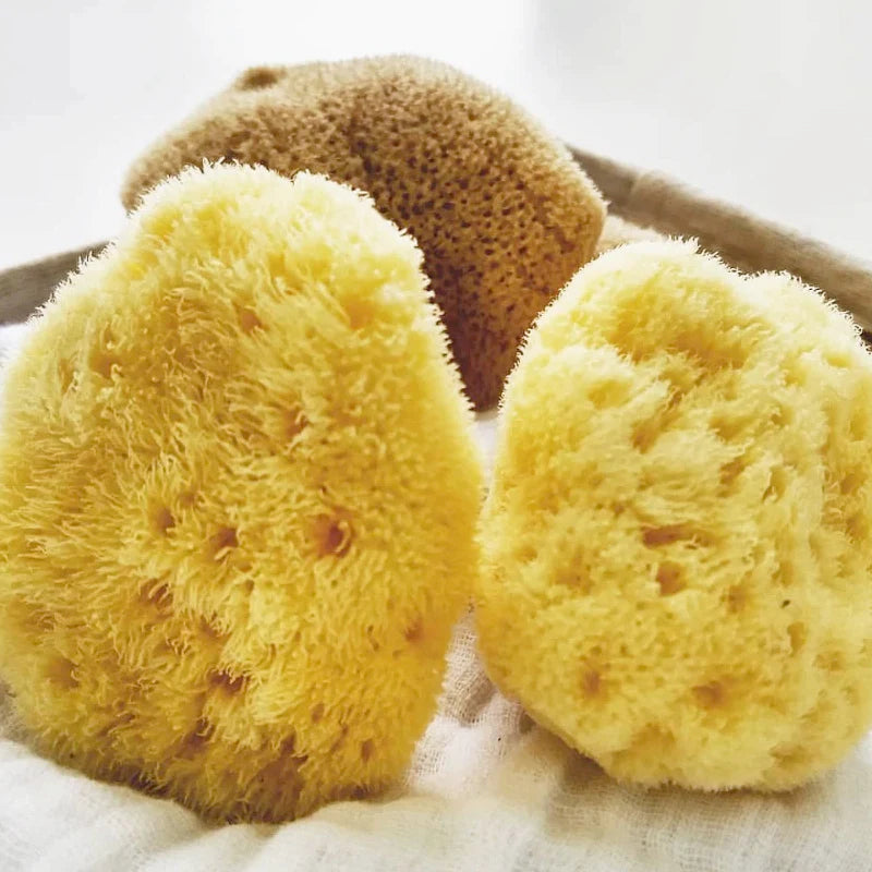 MEDITERRANEAN SEA SPONGE TAMPON - 3PACK